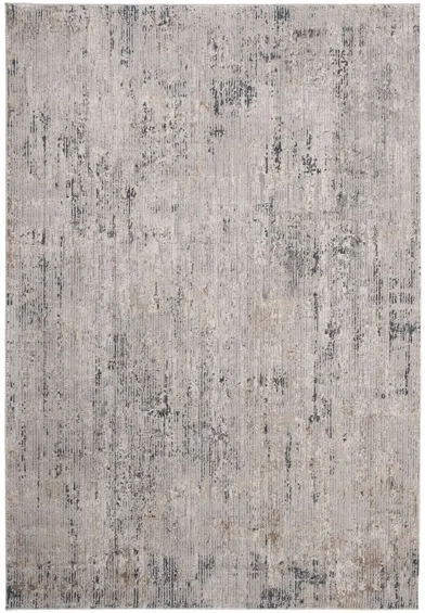 Invista Area Rug in Cream/Charcoal by Safavieh