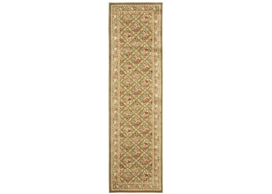 Crown Point Runner Rug in Green by Safavieh