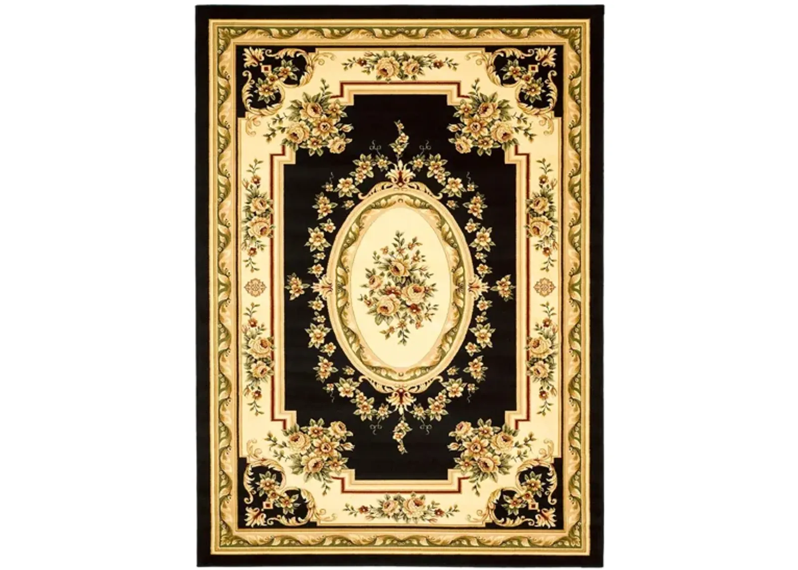 Bisterne Area Rug in Black / Ivory by Safavieh