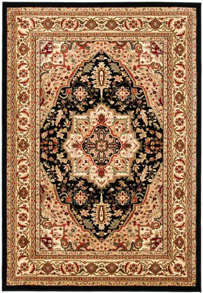 Mercia Area Rug in Black / Beige by Safavieh