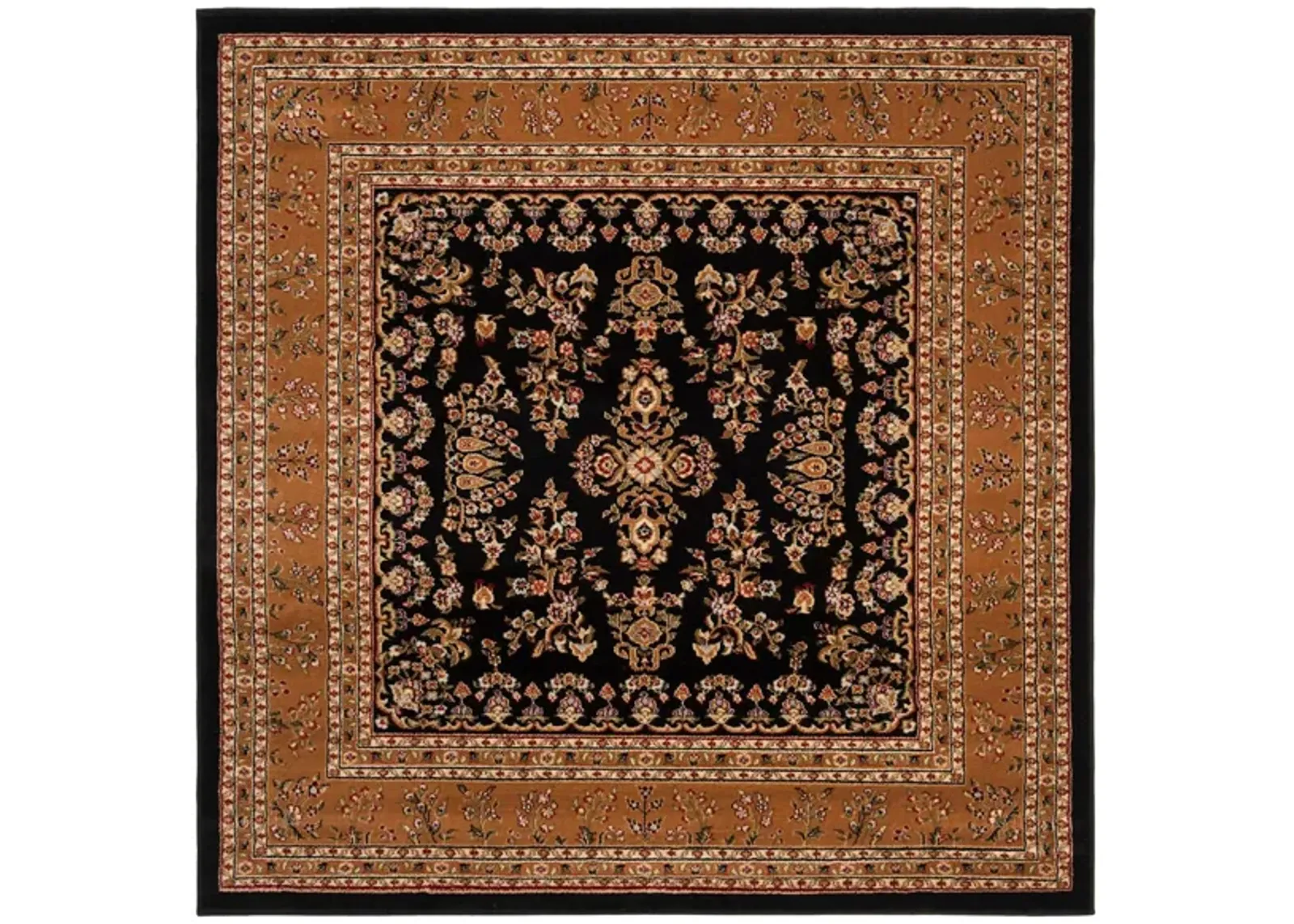 Anglia Area Rug in Black / Tan by Safavieh