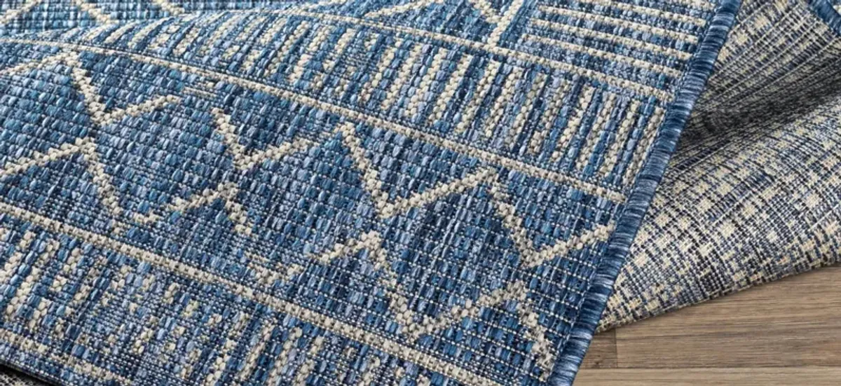 Eagean Indoor/Outdoor Area Rug