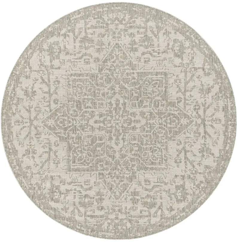 Eagean Cyprus Indoor/Outdoor Area Rug Oval in Gray, Oatmeal, Light Beige by Surya