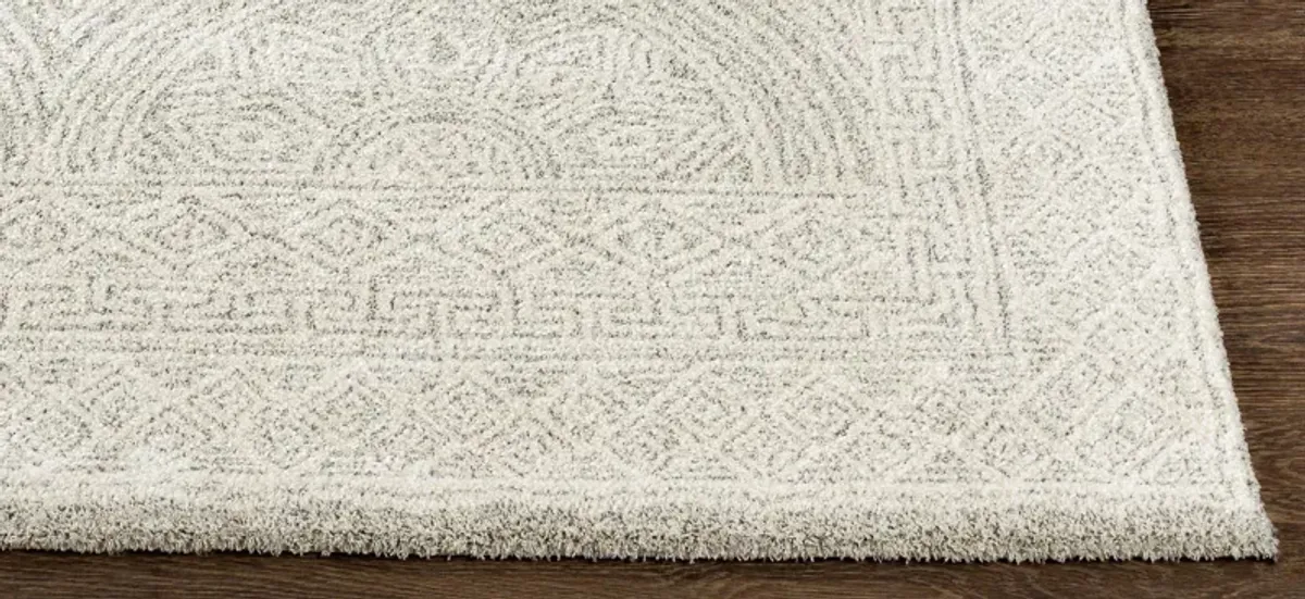 Gavic Rug