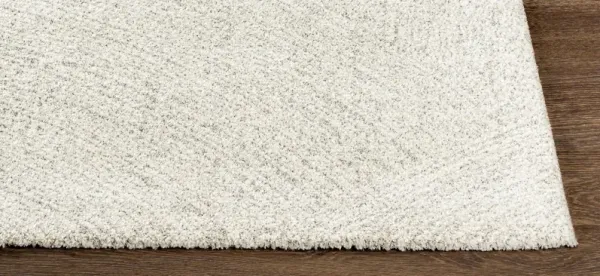 Gavic Rug