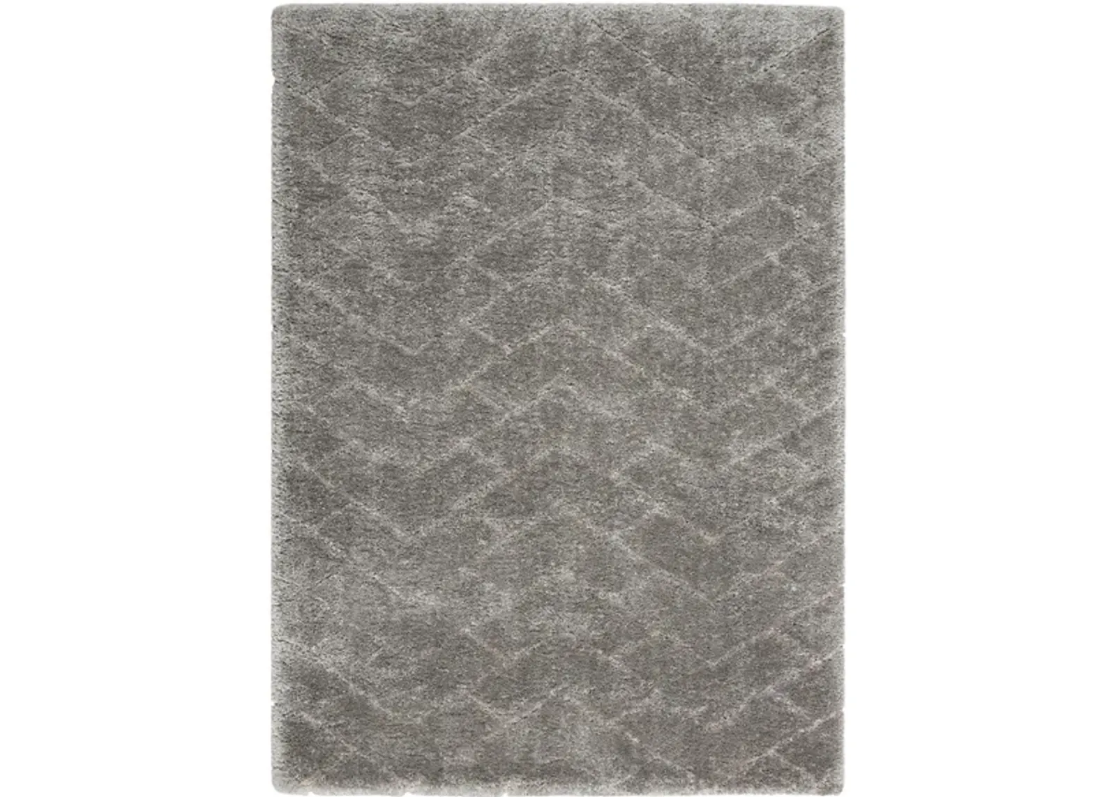 Epicurean Shag Area Rug in Grey by Nourison