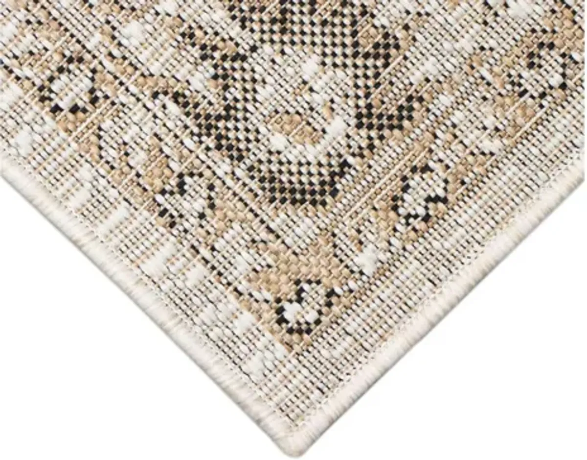 Carmel Indoor/Outdoor Rug