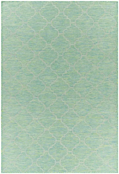 Pasadena Sage Indoor/Outdoor Area Rug in Grass Green, Blue by Surya