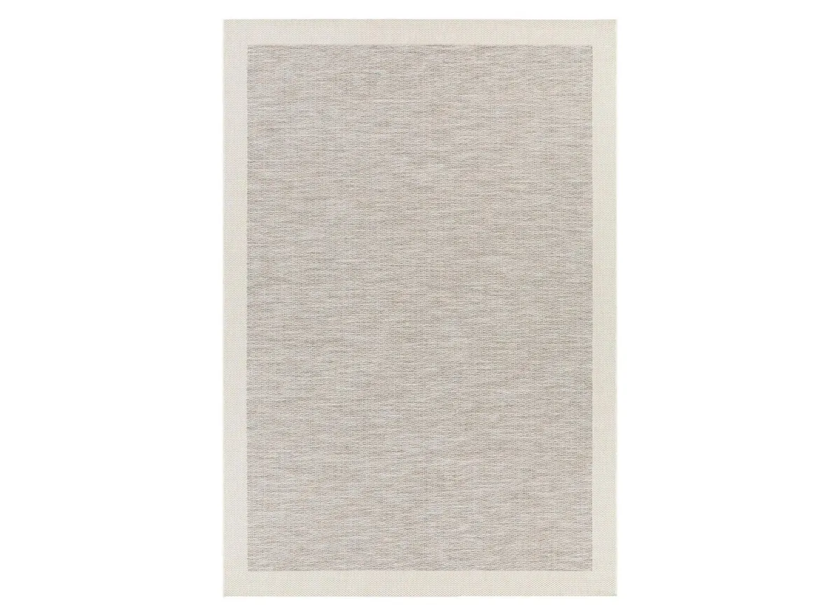 Santa Cruz Area Rug in Taupe/Cream by Surya