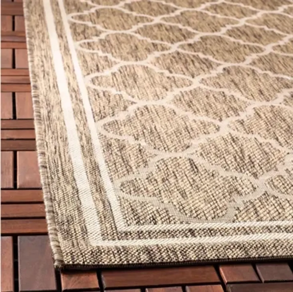 Courtyard Pathway Indoor/Outdoor Area Rug