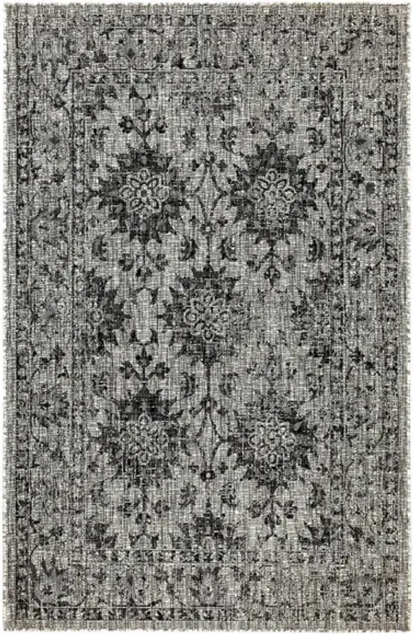 Carmel Indoor/Outdoor Rug