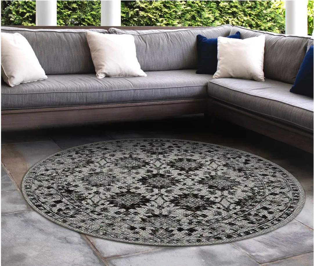 Carmel Indoor/Outdoor Rug in Black by Trans-Ocean Import Co Inc