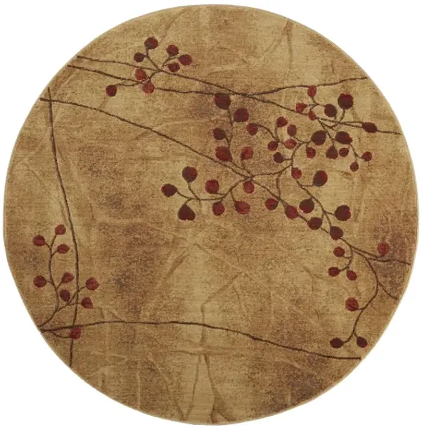 Somerset Area Rug