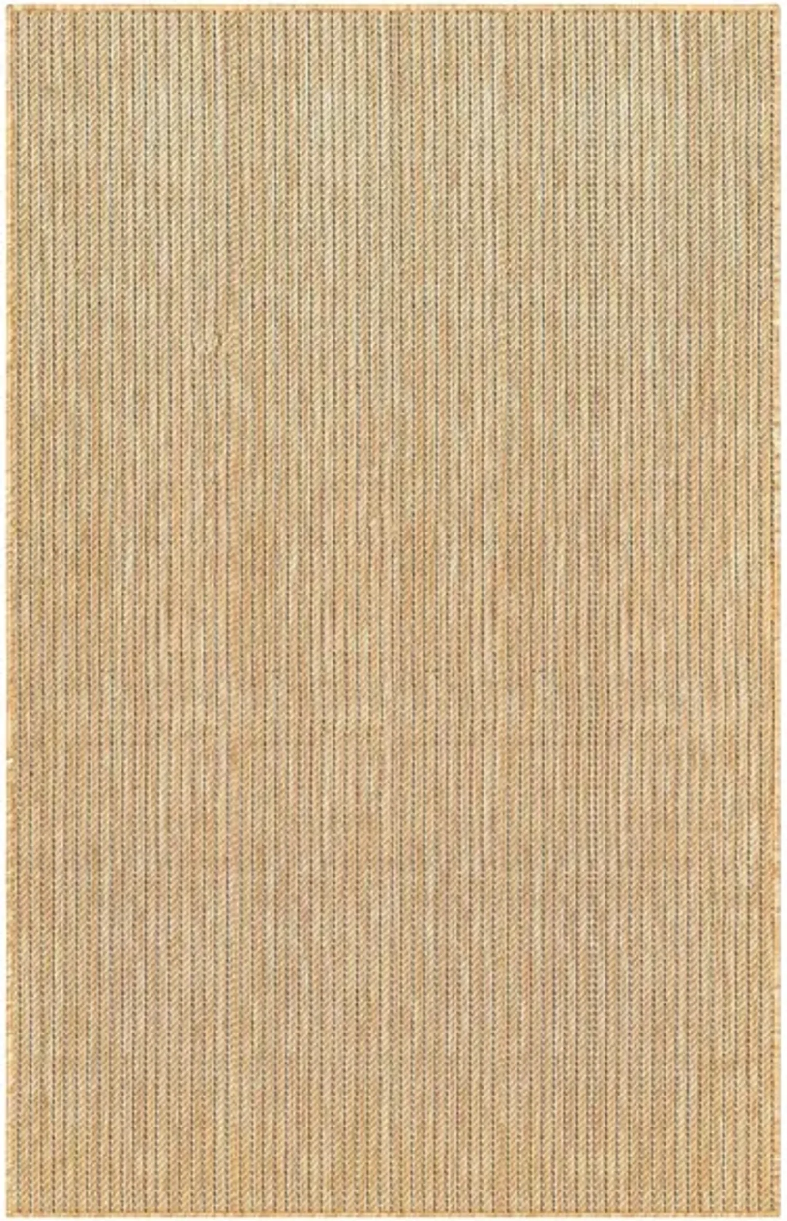 Carmel Indoor/Outdoor Rug