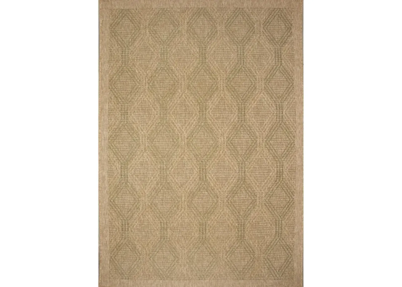 Sahara Indoor/Outdoor Rug in Green by Trans-Ocean Import Co Inc