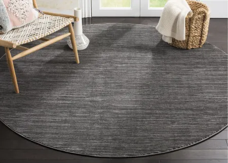 Roden Round Area Rug in Gray by Safavieh