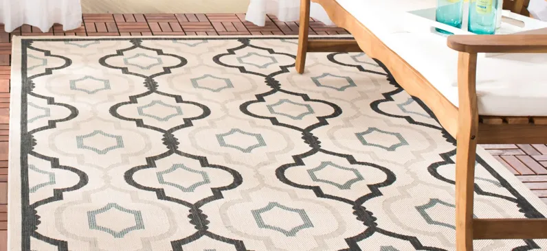 Courtyard Area Rug in Beige/Black by Safavieh