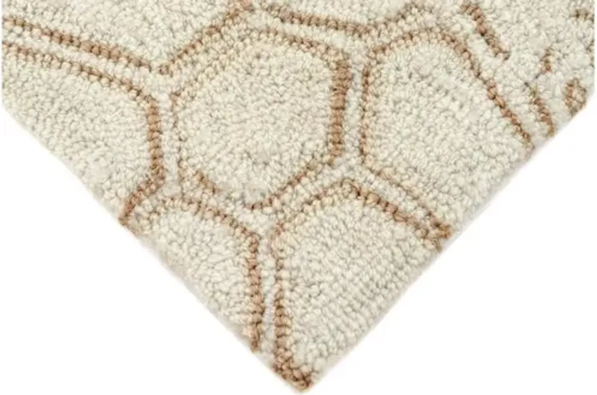 Turtle Indoor/Outdoor Area Rug