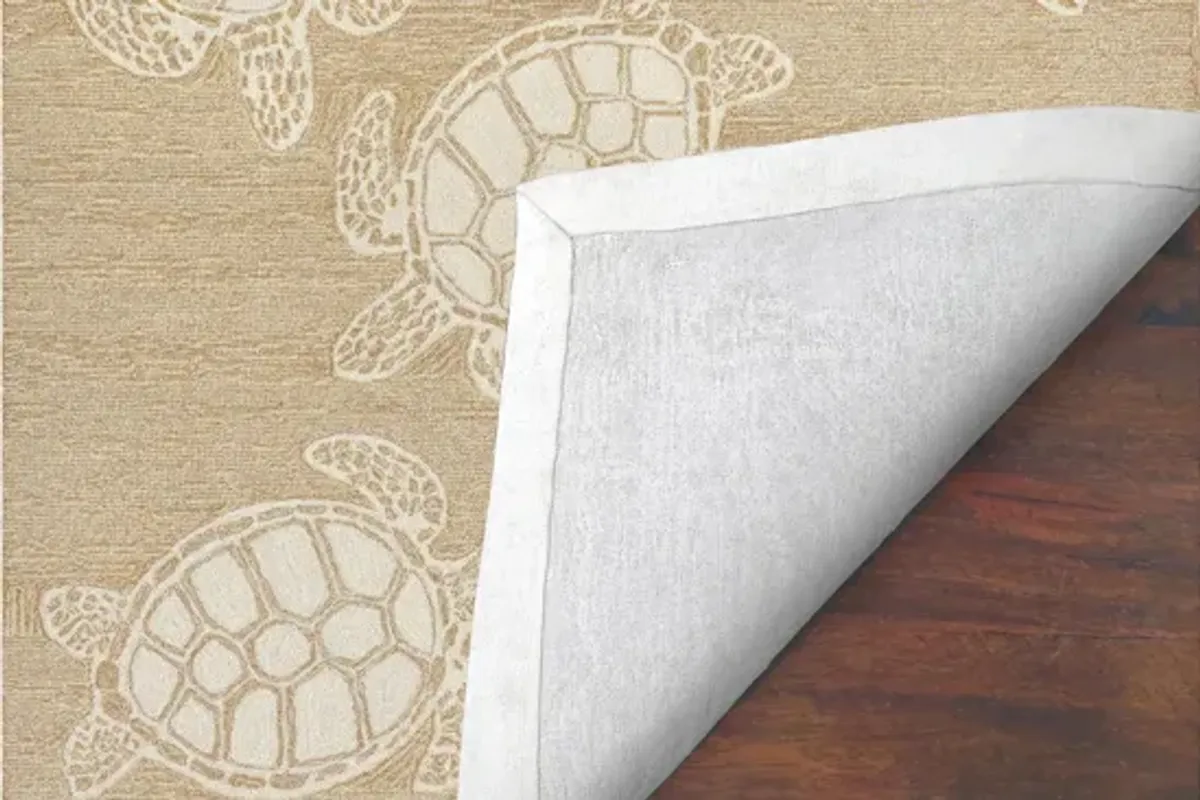 Turtle Indoor/Outdoor Area Rug