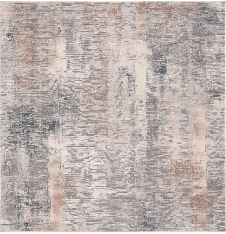 Invista Area Rug in Cream/Gray by Safavieh