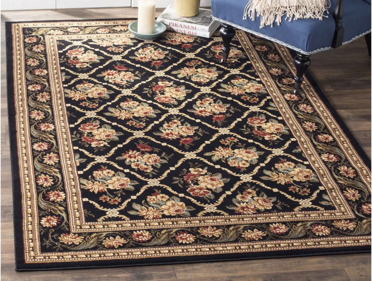 Crown Point Area Rug in Black by Safavieh