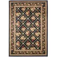 Crown Point Area Rug in Black by Safavieh