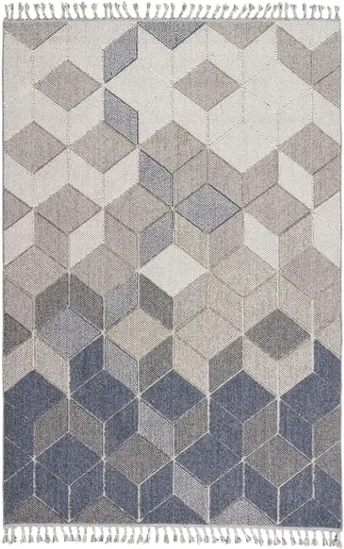 Frankton Area Rug in Grey/Slate by Nourison