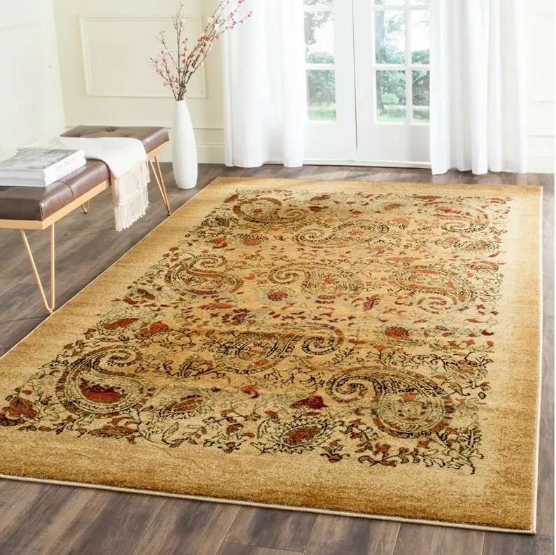 Grimaldi Area Rug in Beige / Multi by Safavieh