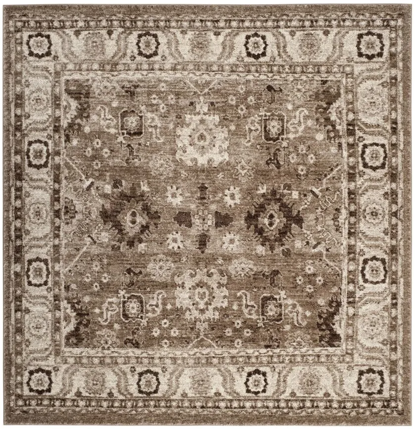Avicenna Area Rug in Taupe by Safavieh