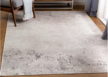Costa Mesa Rug in Taupe, Beige, Cream by Surya