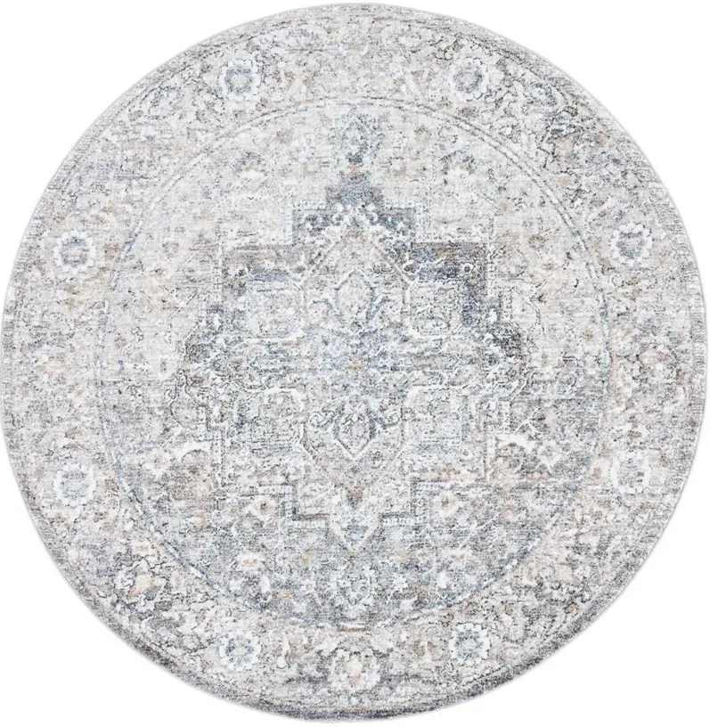 Jasmine Area Rug in Gray & Blue by Safavieh