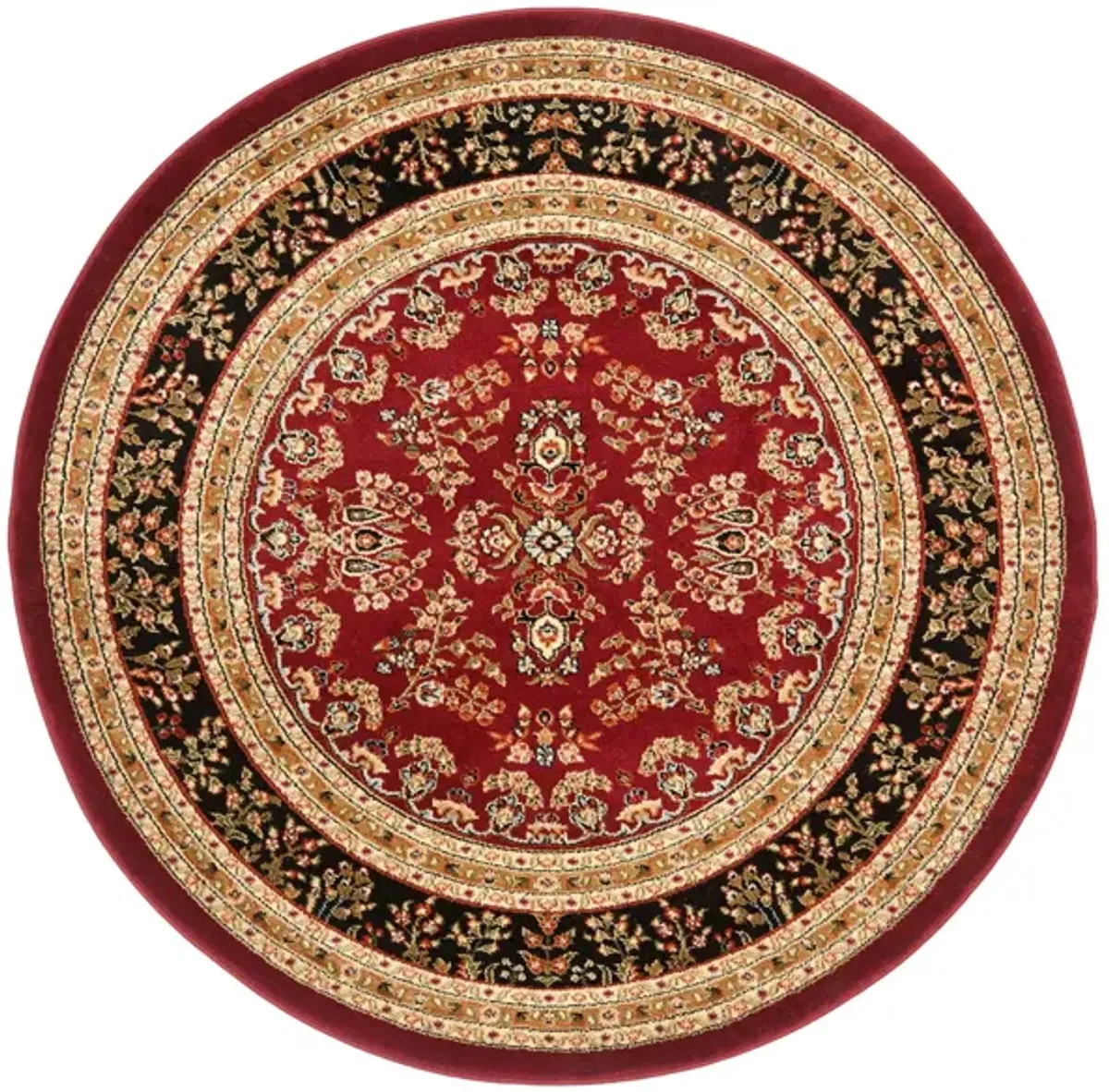 Anglia Area Rug in Red / Black by Safavieh