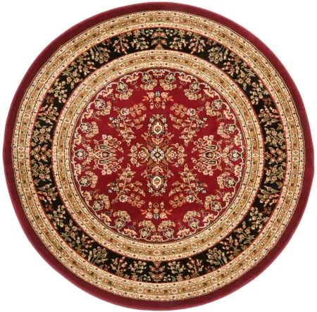Anglia Area Rug in Red / Black by Safavieh