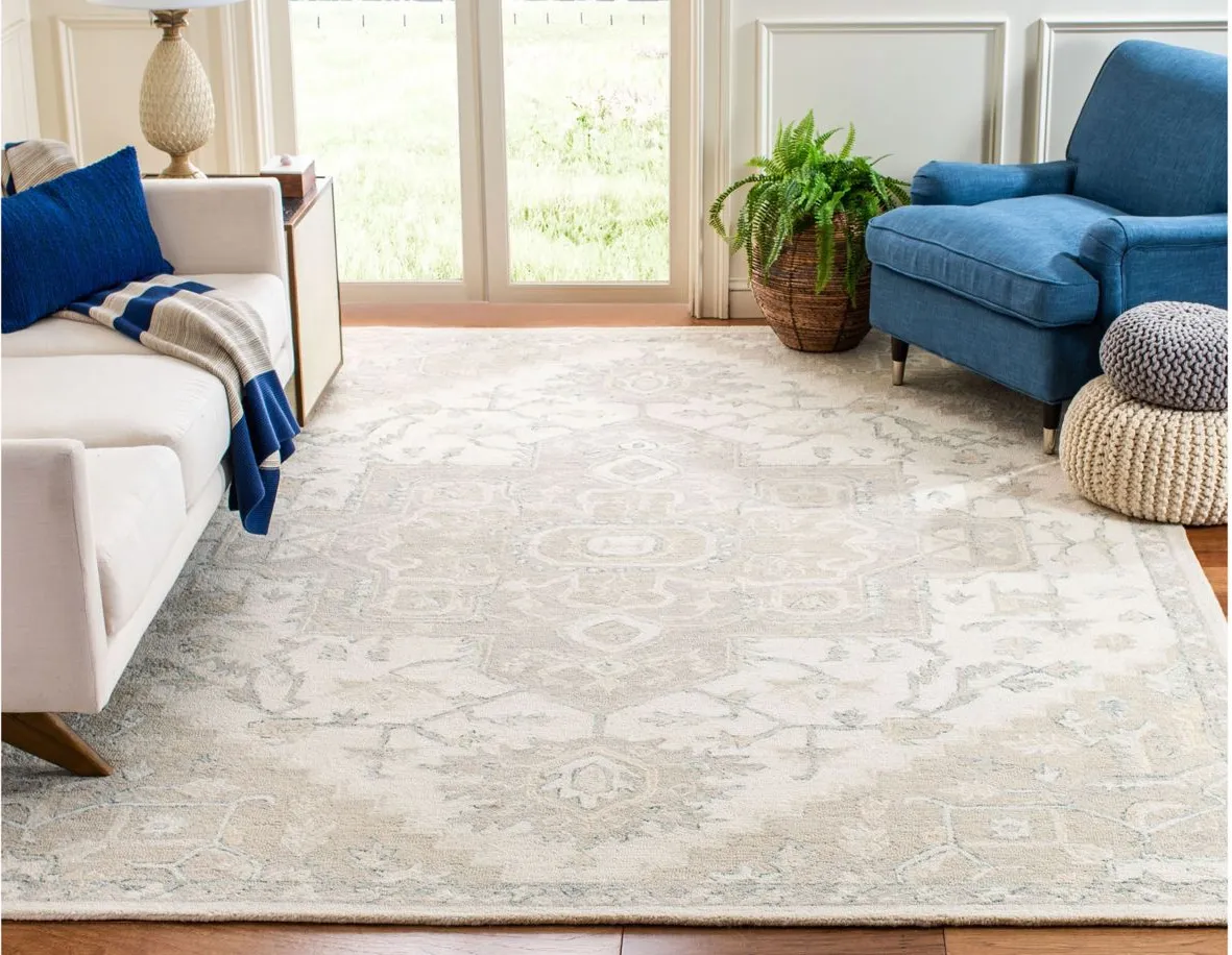 McGrath Area Rug in Ivory & Beige by Safavieh