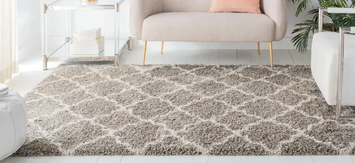 Hudson Shag Area Rug