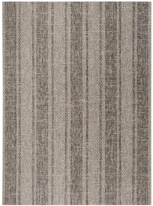 Courtyard Weave Indoor/Outdoor Area Rug