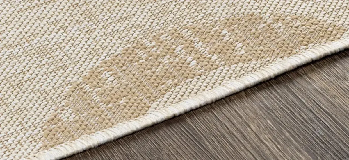 Malibu Waves Indoor/Outdoor Area Rug