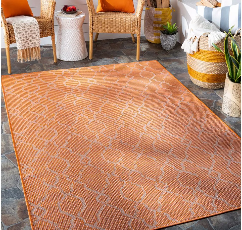 Pasadena Sage Indoor/Outdoor Area Rug in Burnt Orange by Surya