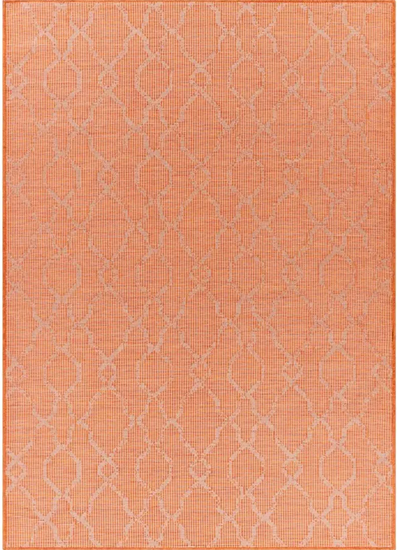 Pasadena Sage Indoor/Outdoor Area Rug in Burnt Orange by Surya