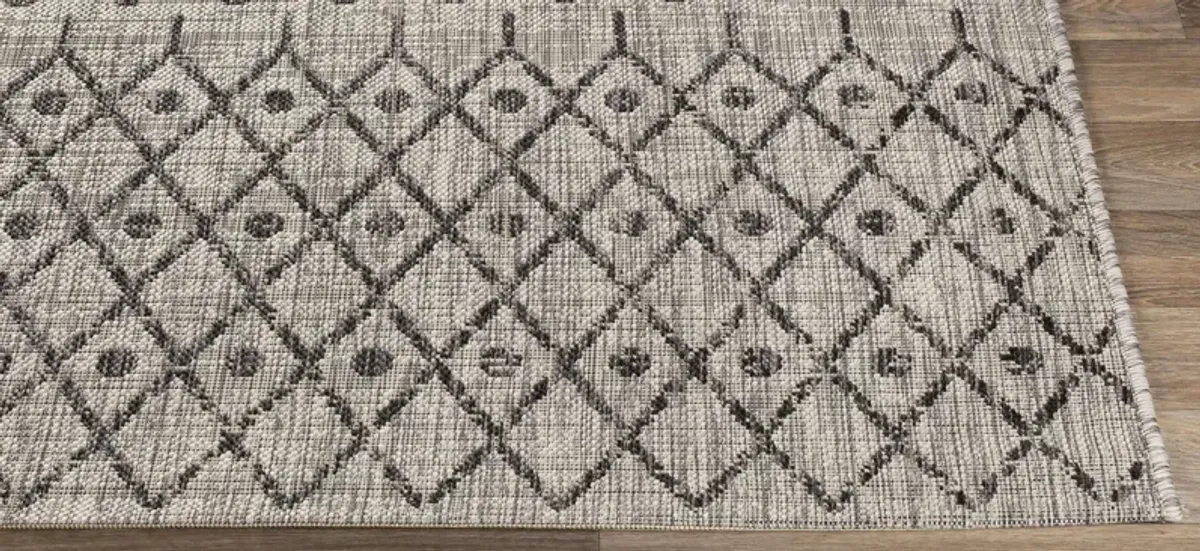 Eagean Area Rug