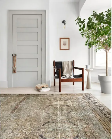 Layla Area Rug in Olive/Charcoal by Loloi Rugs