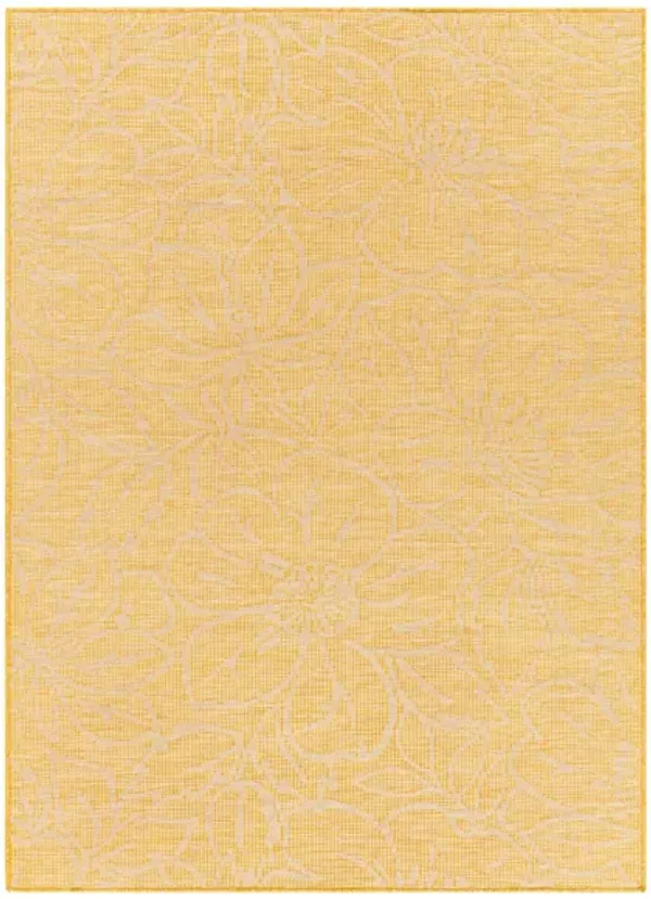 Pasadena Floral Indoor/Outdoor Area Rug