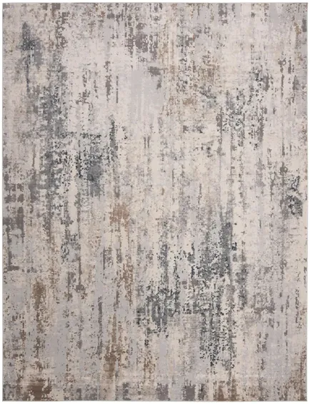 Invista Area Rug in Cream/Gray by Safavieh