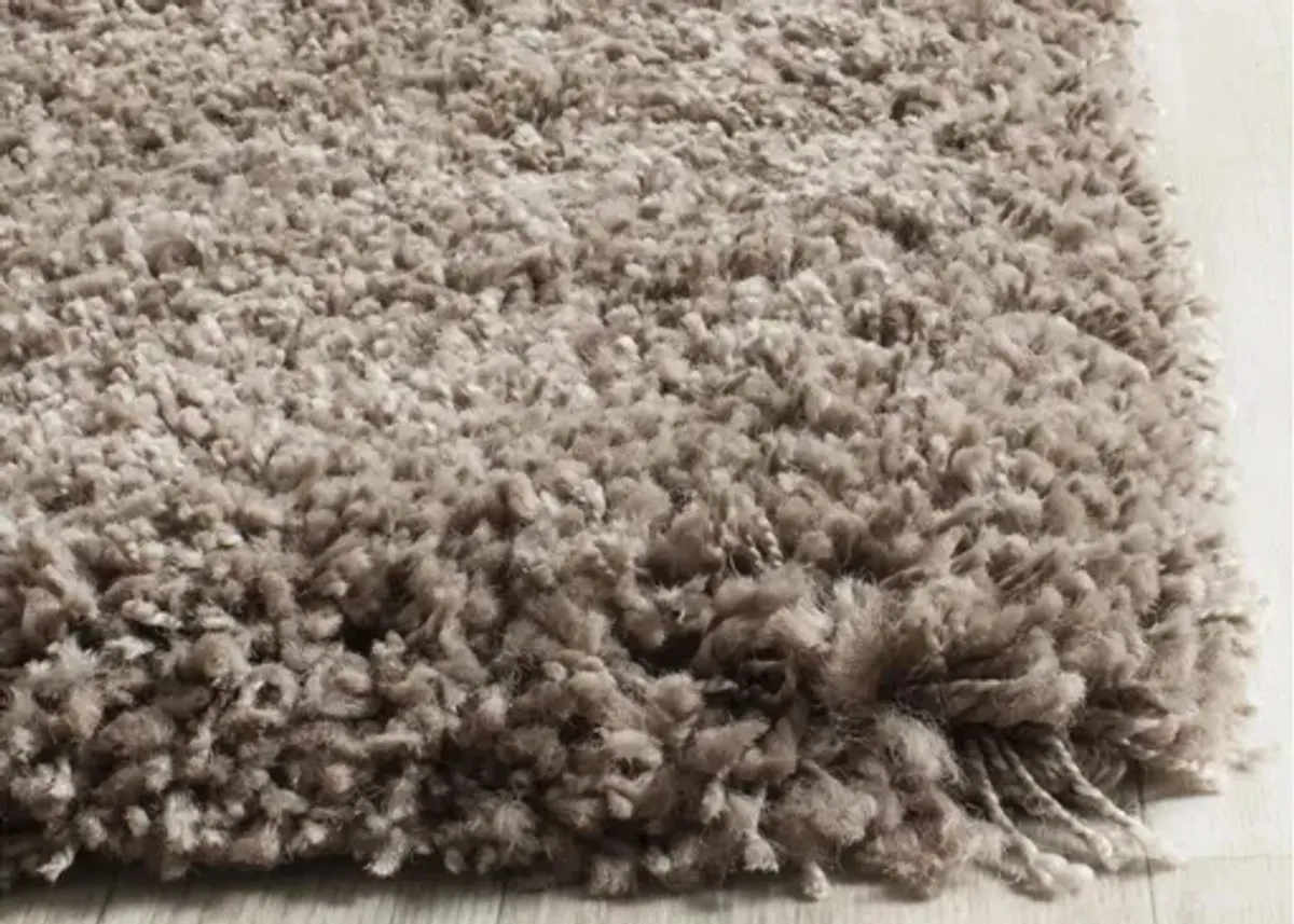 California Shag Area Rug