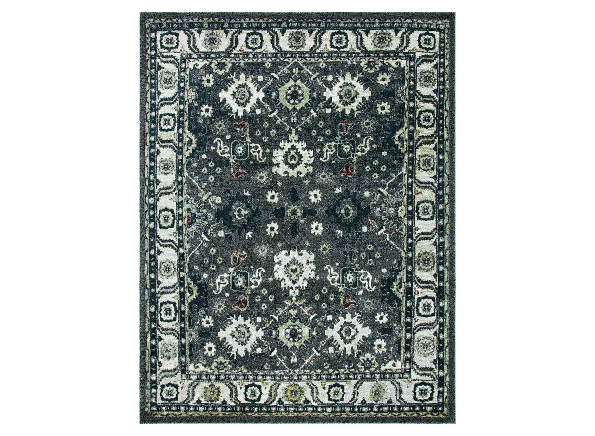 Avicenna Dark Grey Area Rug in Dark Grey & Ivory by Safavieh