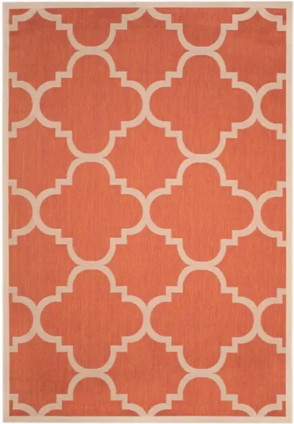 Courtyard Morocco Indoor/Outdoor Area Rug