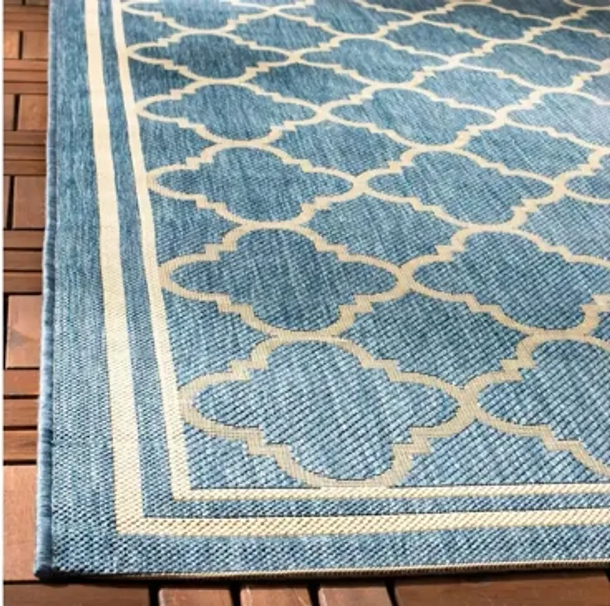 Courtyard Pathway Indoor/Outdoor Area Rug