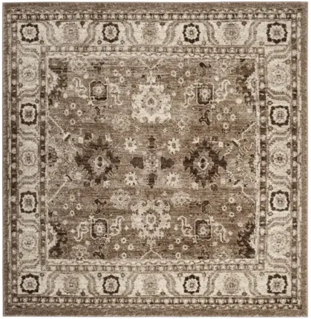 Avicenna Area Rug in Taupe by Safavieh