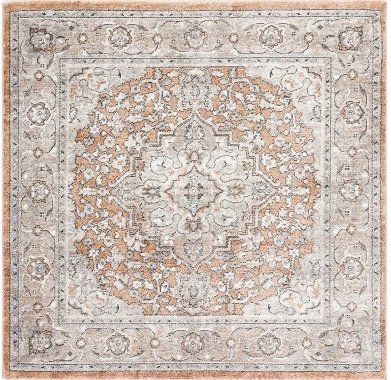 Jasmine Area Rug in Orange & Gray by Safavieh