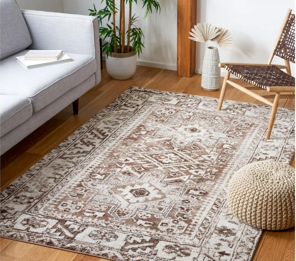 Darius Brown Area Rug in Brown & Ivory by Safavieh